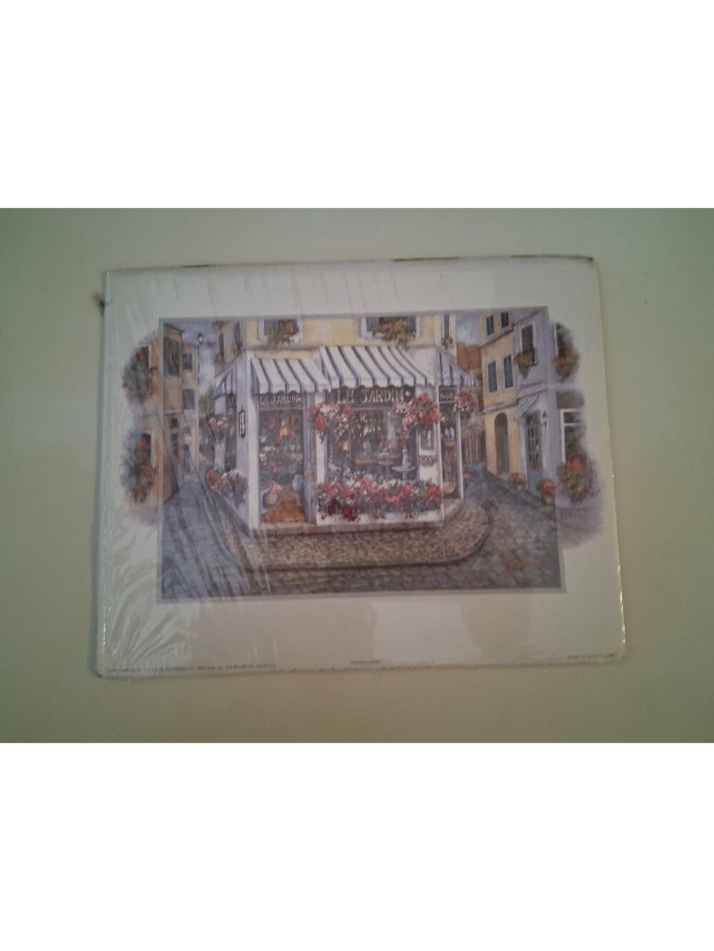 Florest Shop 8x10 Art Print